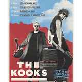 THE KOOKS POSTER